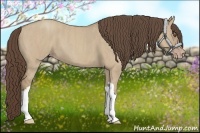 Horse Color:Classic Champagne Dun  Brindle