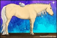 Horse Color:Palomino  Brindle