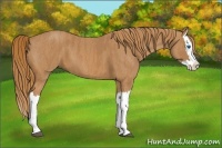 Horse Color:Chestnut Splash  Brindle
