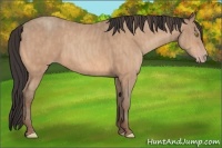 Horse Color:Amber Champagne  Brindle