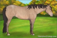 Horse Color:Amber Champagne  Brindle