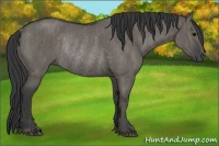 Horse Color:Grullo Rabicano Brindle