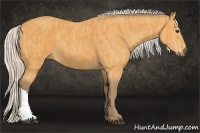 Horse Color:Silver Buckskin  Brindle