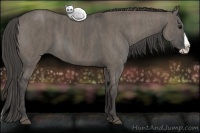Horse Color:Grullo Splash  Brindle