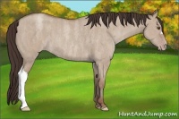 Horse Color:Classic Champagne Roan Dun  Brindle