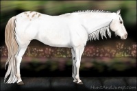 Horse Color:Chestnut Varnish  Brindle