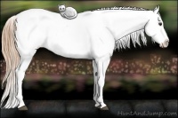 Horse Color:Chestnut Blanket  Brindle