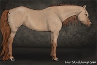 Horse Color:Red Dun  Brindle
