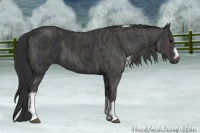 Horse Color:Black Tobiano Frame  Brindle