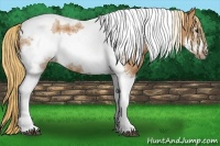 Horse Color:Chestnut Tobiano Frame  Brindle