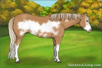 Horse Color:Chestnut Splash Frame 