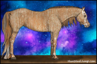 Horse Color:Buckskin Splash Brindle