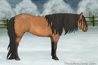 Horse Color:Bay Splash Frame  Brindle