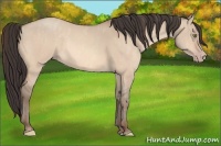 Horse Color:Amber Champagne Dun  Brindle