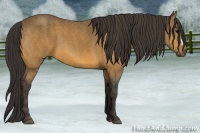 Horse Color:Buckskin  Brindle