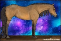 Horse Color:Buckskin Splash  Brindle