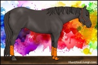 Horse Color:Smoky Black 
