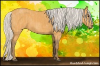 Horse Color:Silver Buckskin  Brindle