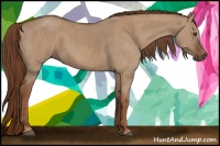 Horse Color:Red Dun  Brindle