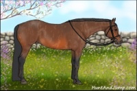 Horse Color:Bay  Brindle