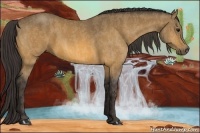 Horse Color:Buckskin  Brindle