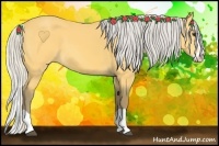 Horse Color:Silver Buckskin Splash 