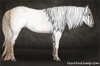 Horse Color:Gray Bay Brindle