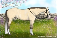 Horse Color:Buckskin Roan Dun Splash  Brindle