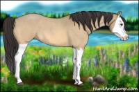 Horse Color:Buckskin Roan Dun Splash 