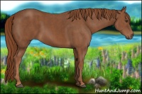 Horse Color:Chestnut  Brindle