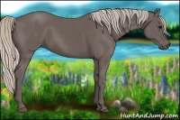 Horse Color:Silver Black 