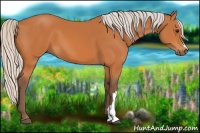 Horse Color:Silver Bay 