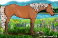 Horse Color:Silver Bay 