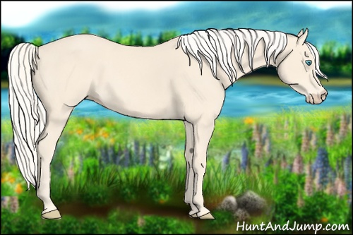 Horse Color: Cremello 