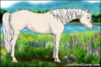 Horse Color:Cremello 