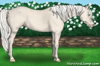 Horse Color:Cremello  Brindle