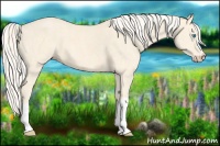 Horse Color:Cremello  Brindle