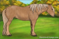 Horse Color:Chestnut Brindle