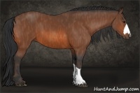 Horse Color:Bay  Brindle