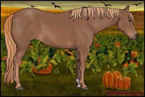 Horse Color: Chestnut 