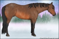 Horse Color:Bay  Brindle