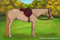 Horse Color:Red Roan 