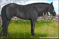 Horse Color:Black  Brindle