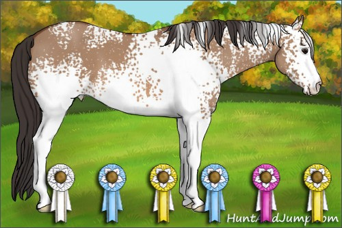 Horse Color: Unknown 