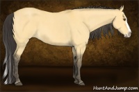 Horse Color:Buckskin Roan Dun Splash  Brindle