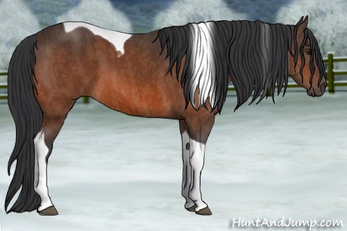 Horse Color: Bay Tobiano  Brindle