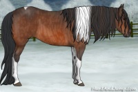 Horse Color:Bay Tobiano Brindle