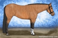 Horse Color:Bay Tobiano  Brindle