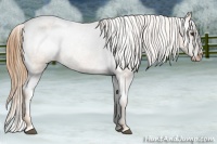Horse Color:Chestnut Varnish  Brindle