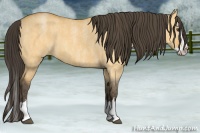 Horse Color:Buckskin Roan Dun Splash  Brindle